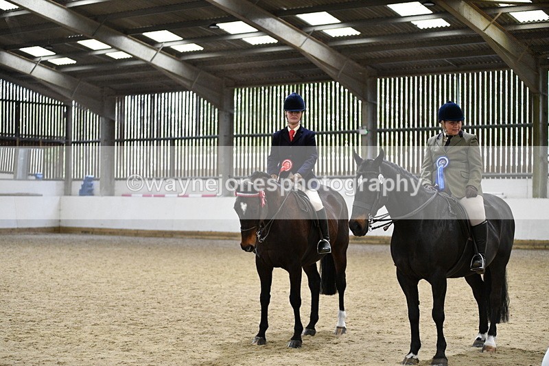 WJ5_8102 - Class 13 Ridden Part Breed