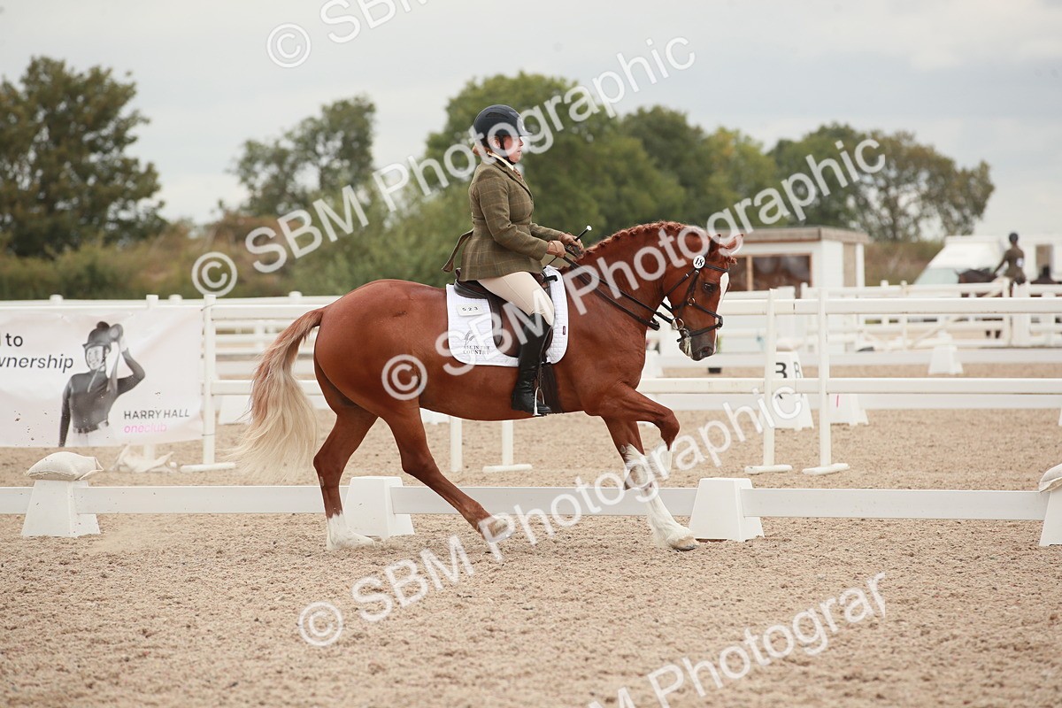 SBM_06104 - Class 33 - Elementary 1