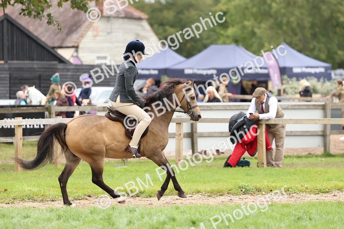 SBM_67458 - S61 - Mountain & Moorland Ridden