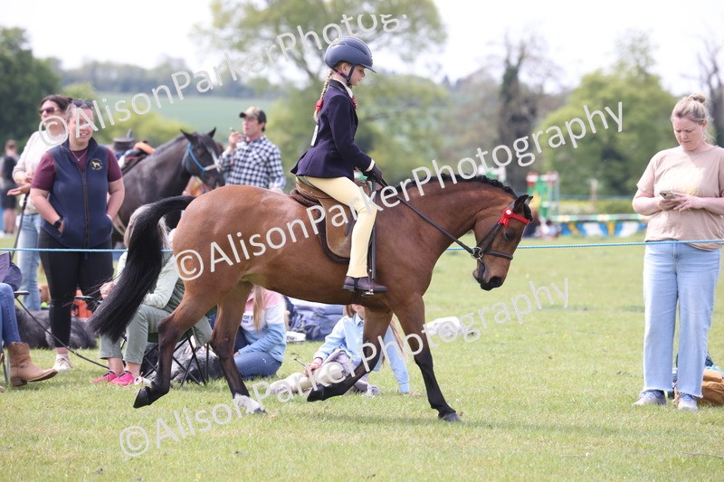 20260426-2923 - Class 33 - Best Pony 14.2hh and Under