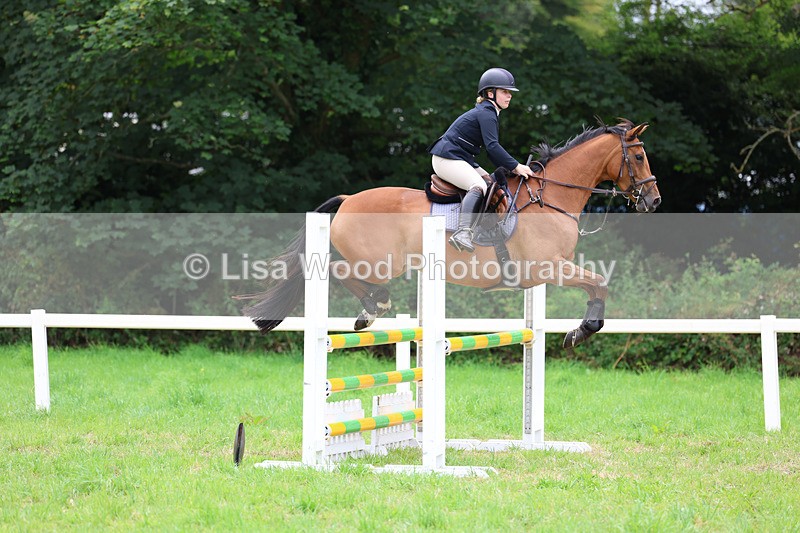 3E7A7134 - Class 5: Senior British Novice/90cm open