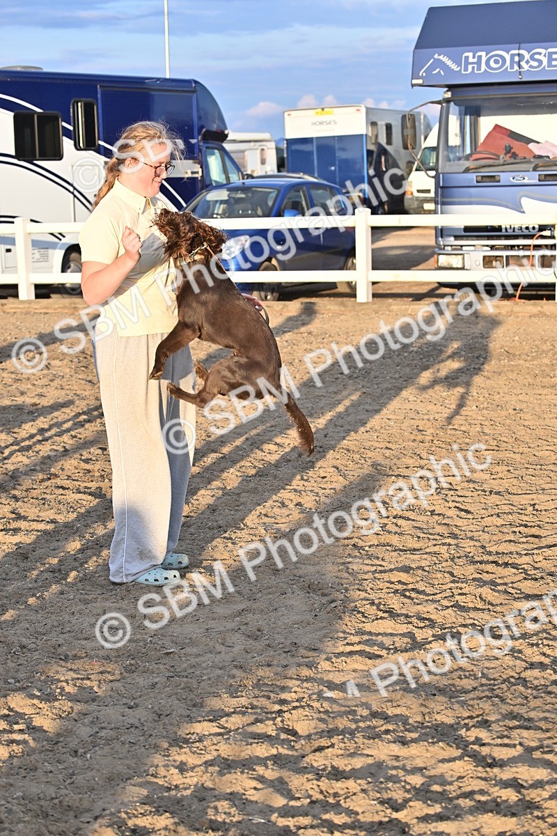 SBM_09678 - Lorry Dogs