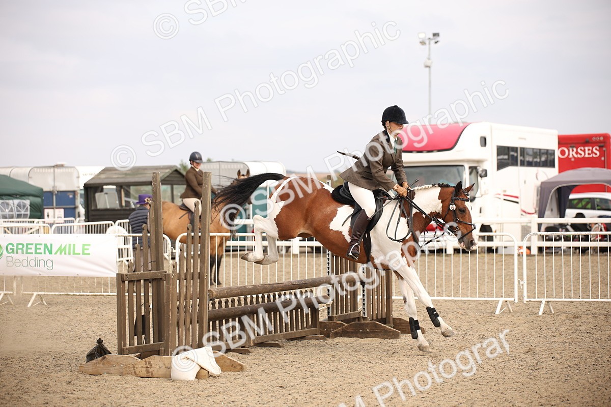 SBM_17134 - Class 409b - Working Veteran 80cm (20+)