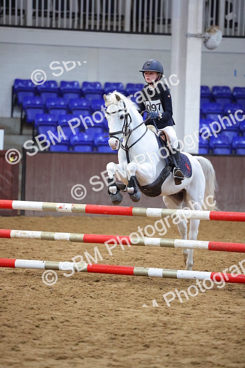 SBM_002053 - Class 5 - Show Jumping 80cm