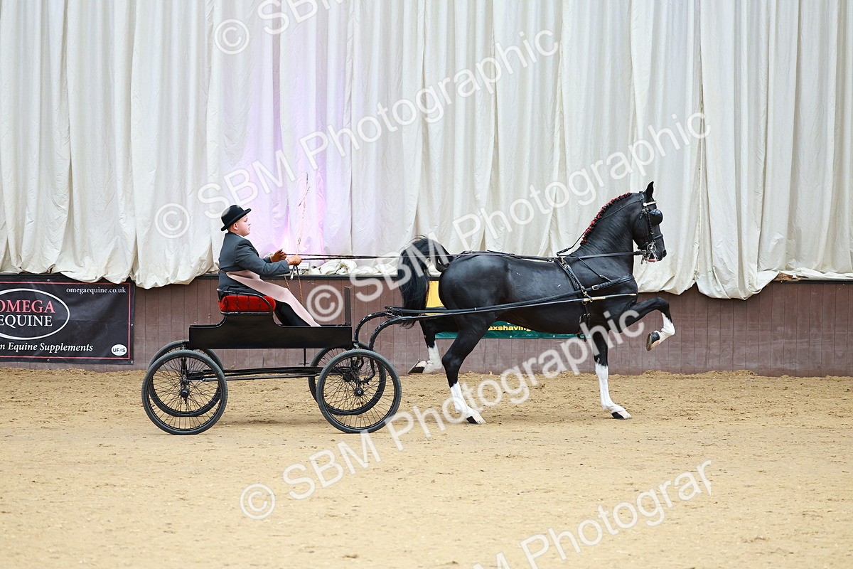 SBM_000997 - Class 13  - HHS Championship Intl Hackney Horse to a Show Wagon