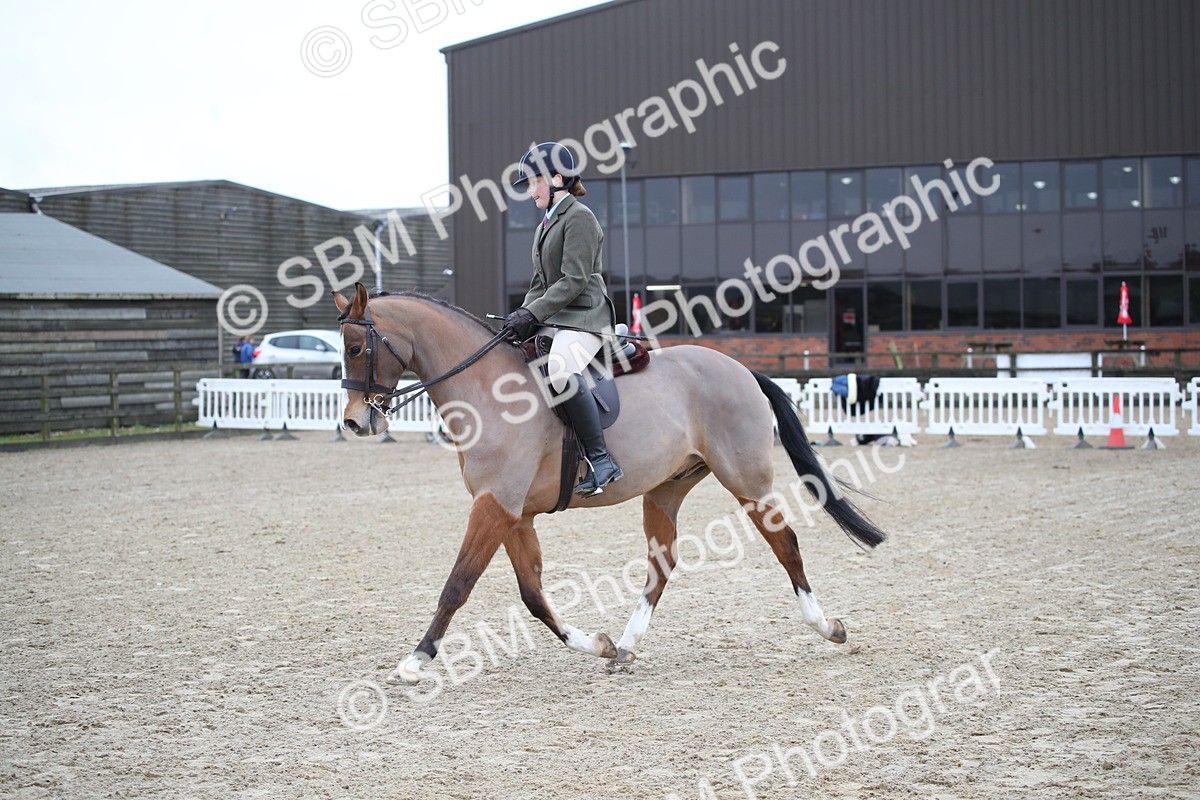 SBM_004678 - Class 5-9 - NPS In Hand-Show Hunter-Intermediate Ridden Inc Ridden Championship