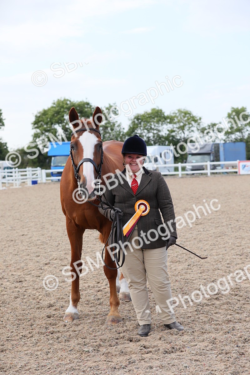 SBM_15864 - Class 312 IH Competition Horse/Pony
