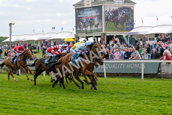 150525-Old Cock-4076 - Race 2 2.42pm Oakmere Homes Hambleton Handicap