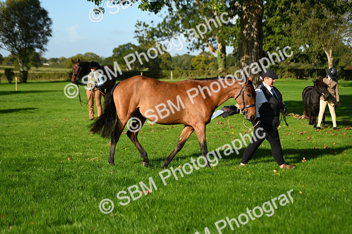 SBM_14784 - S1 - TSR in Hand Horse & Pony Showing