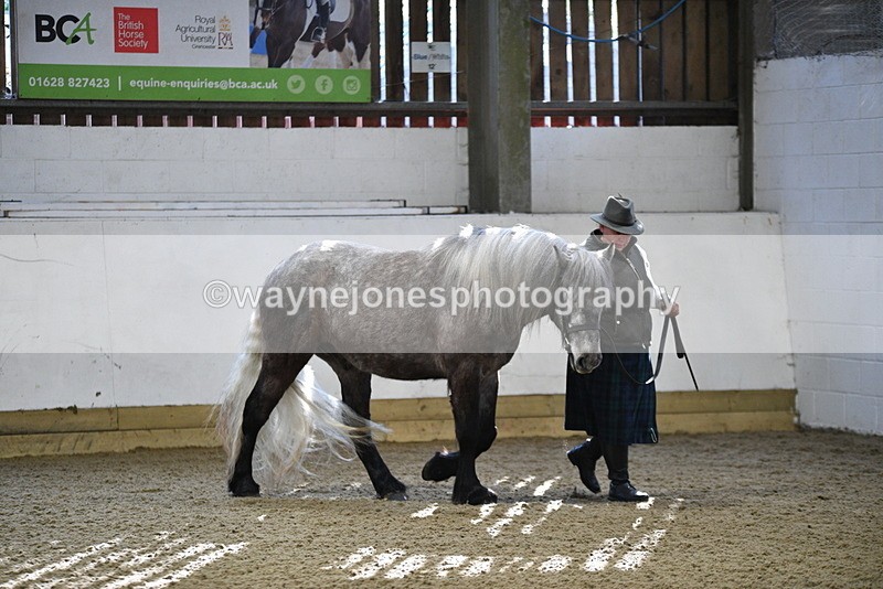 WJ5_3337 - Class 1 Youngstock