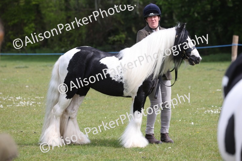 20260426-3373 - Class 27 - Coloured Horses and Ponies