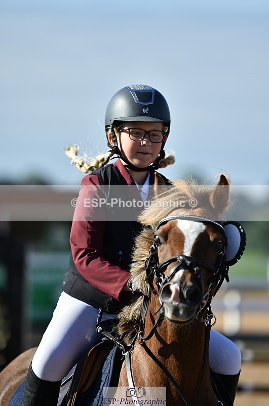 230903A-095232-03589 - Cls 17 Pony Intro 75cm