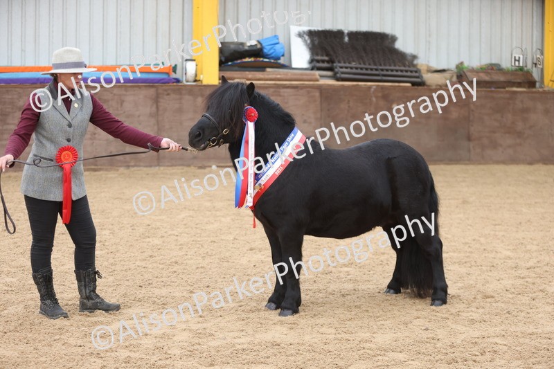 20251109-0129 - Championship