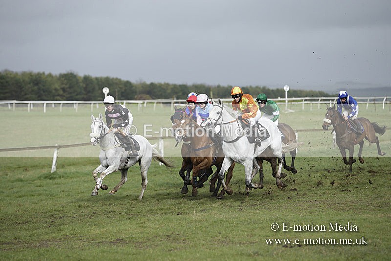PtP 150320 0383 - New Forest Point-to-Point Larkhill 15/03/20