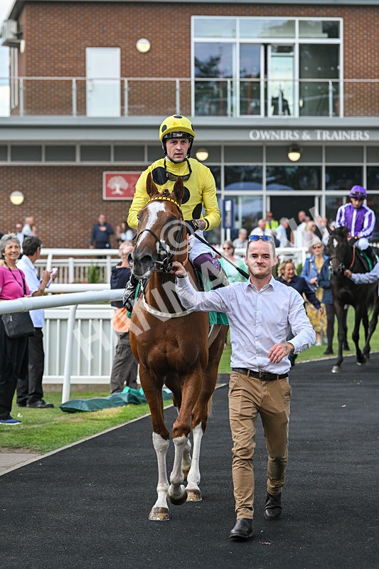 020825-Race 2-Zeus Olympios-2725 - Race 2