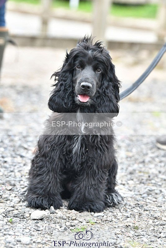 230817-124627-02814 - Stable Shots