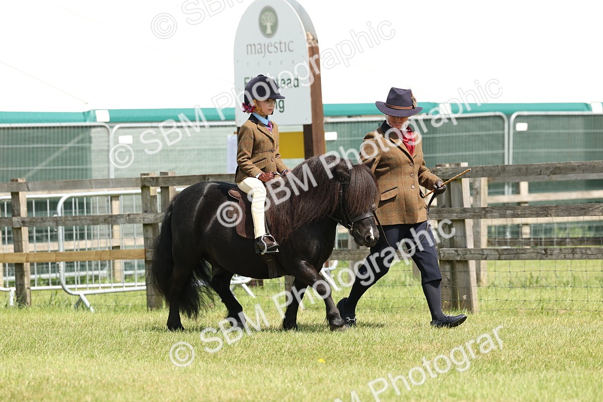 SBM_05188 - Class 24-25 - Mountain & Moorland In Hand Lead Rein and First Ridden