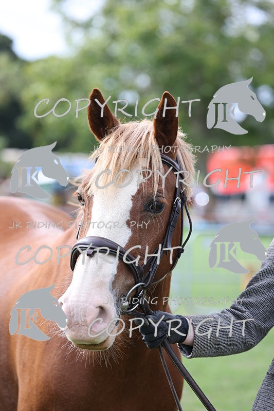 APP_2613 - Class 9 Veterans in hand