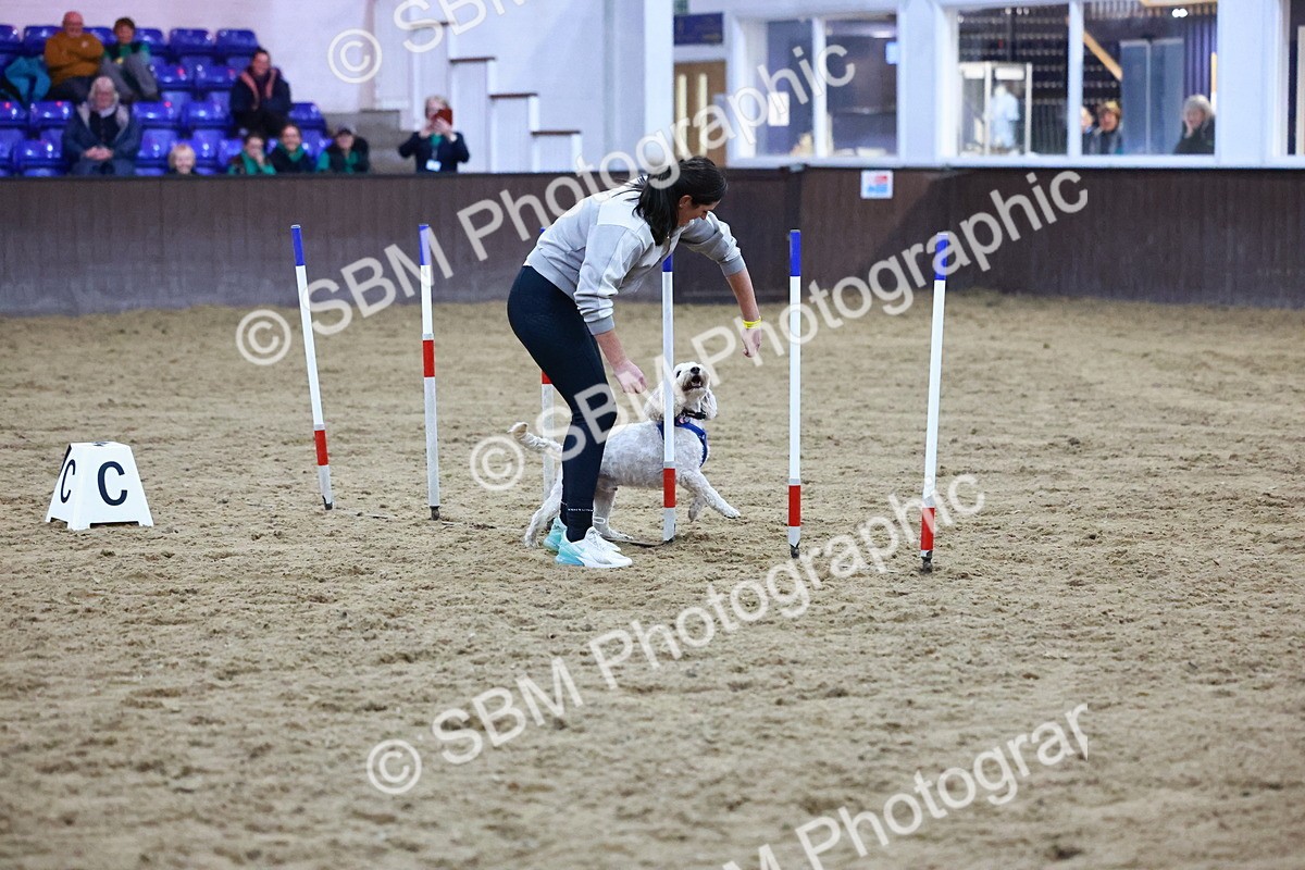 SBM_005917 - Evening Performance