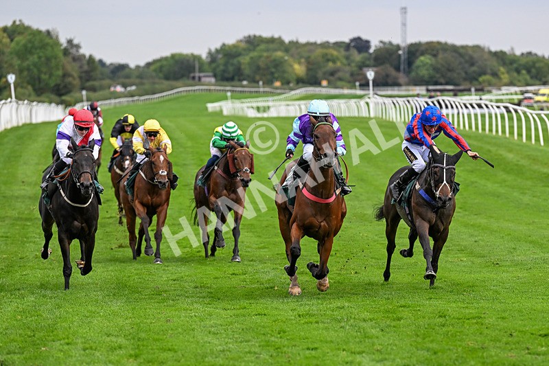 011025-Race 5-Blue Jay Way-0476 - Race 5