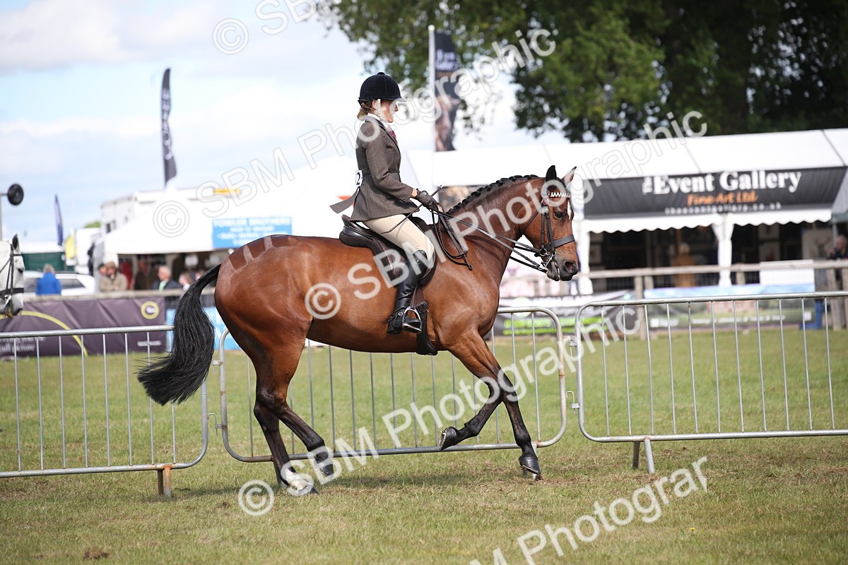 SBM_13315 - Class 95-96 - LIHS BSHA Rising Star Hack Riding Horse