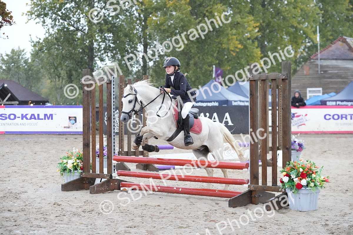 SBM_33590 - J5 - Junior Pony 50cm Championship