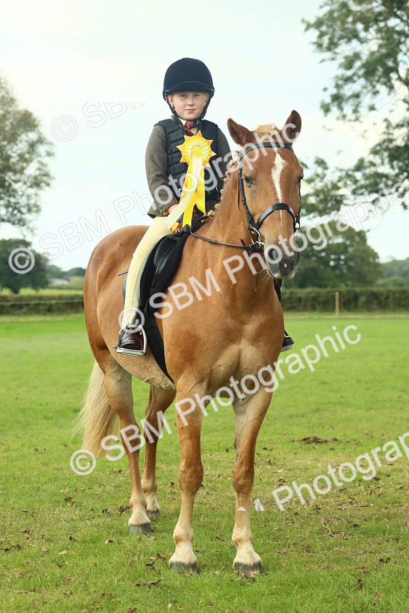 SBM_62541 - S62 - Foreign Breeds Ridden