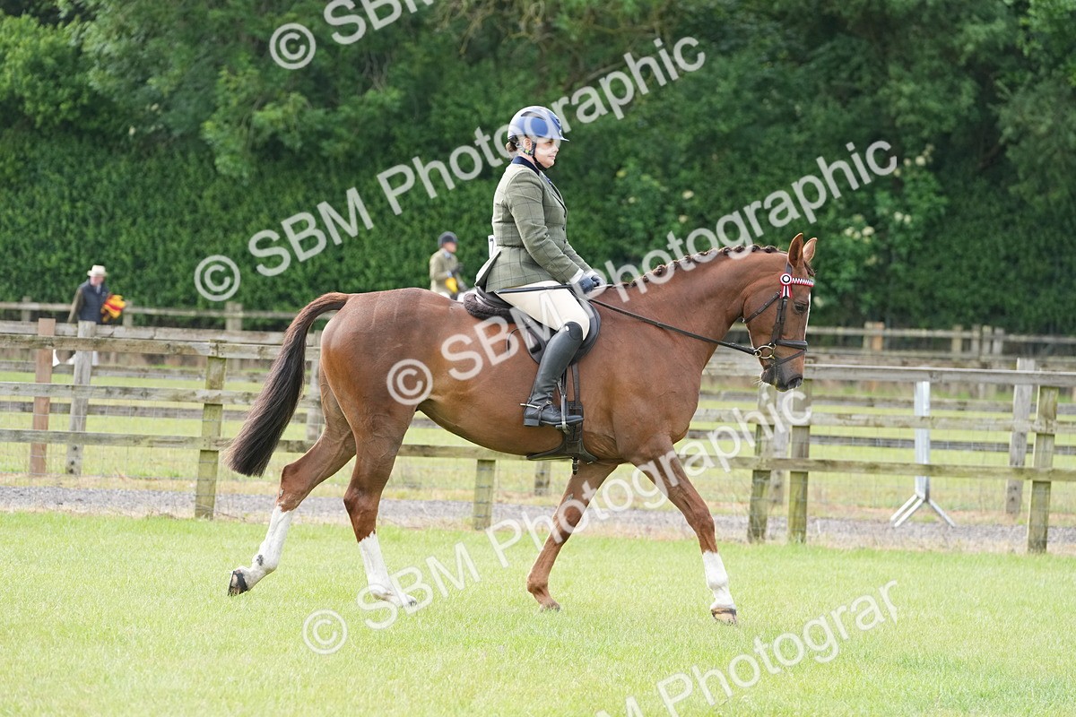 SBM_10563 - Class 97-98 - LIHS BSHA Rising Star Working Show Horse Hunter