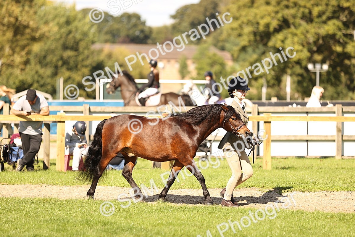 SBM_26144 - S5 - Novice & Newcomers In Hand