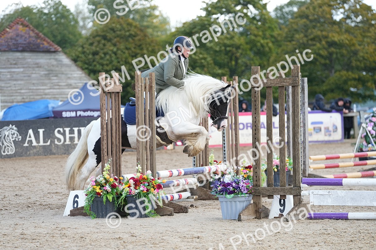 SBM_21189 - J49 - Open 50cm