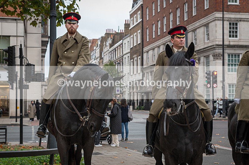 Z62_4528 - Animals In War Memorial 2025 - Park Lane, London