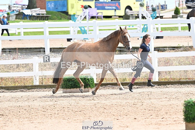 240717A-144253-02224 - Trot Up 2pm to 3pm - This folder is not in time order