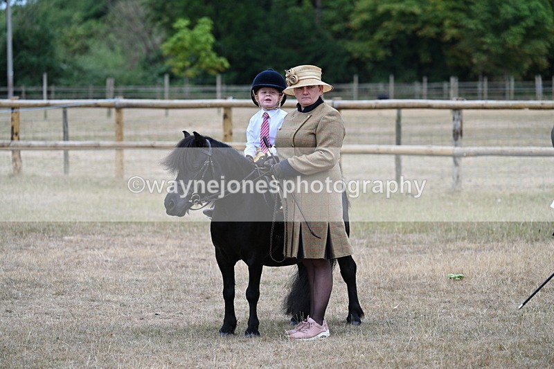 WJ7_8348 - Class 4 Prettiest Mare up to 14.2hh