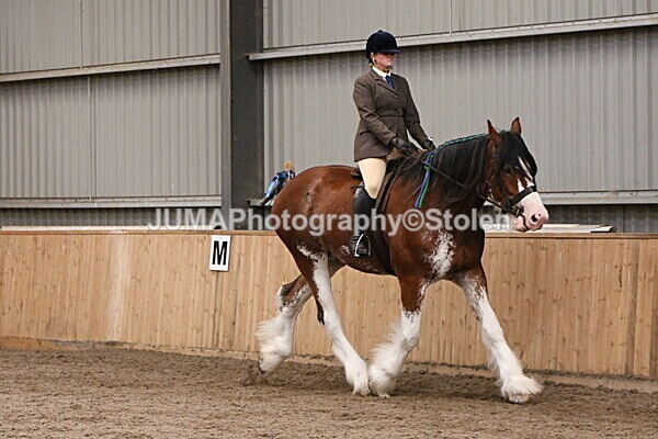 SIAL2242 - Sunday 14th Ridden
