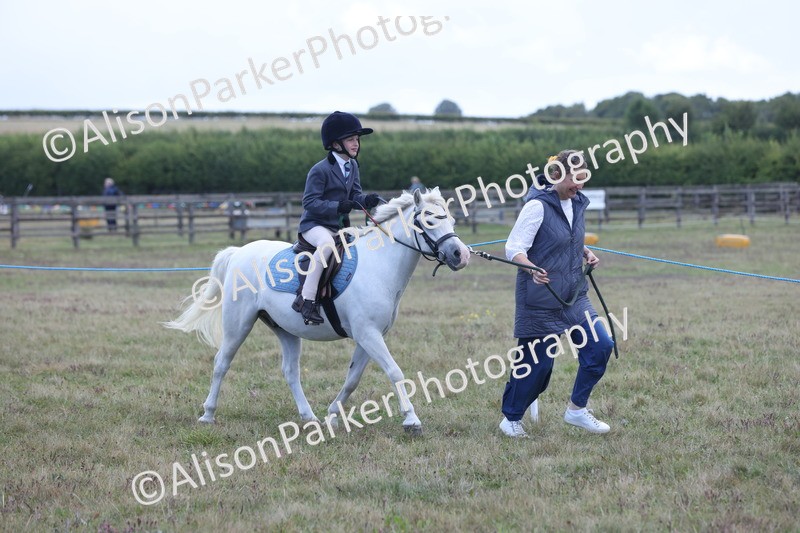 20250831-2373 - Class 16 - Family Pony