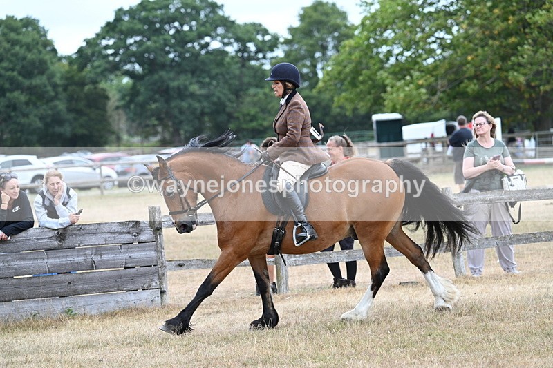 WJ7_0592 - Class 6 Ridden Mountain and Moorland