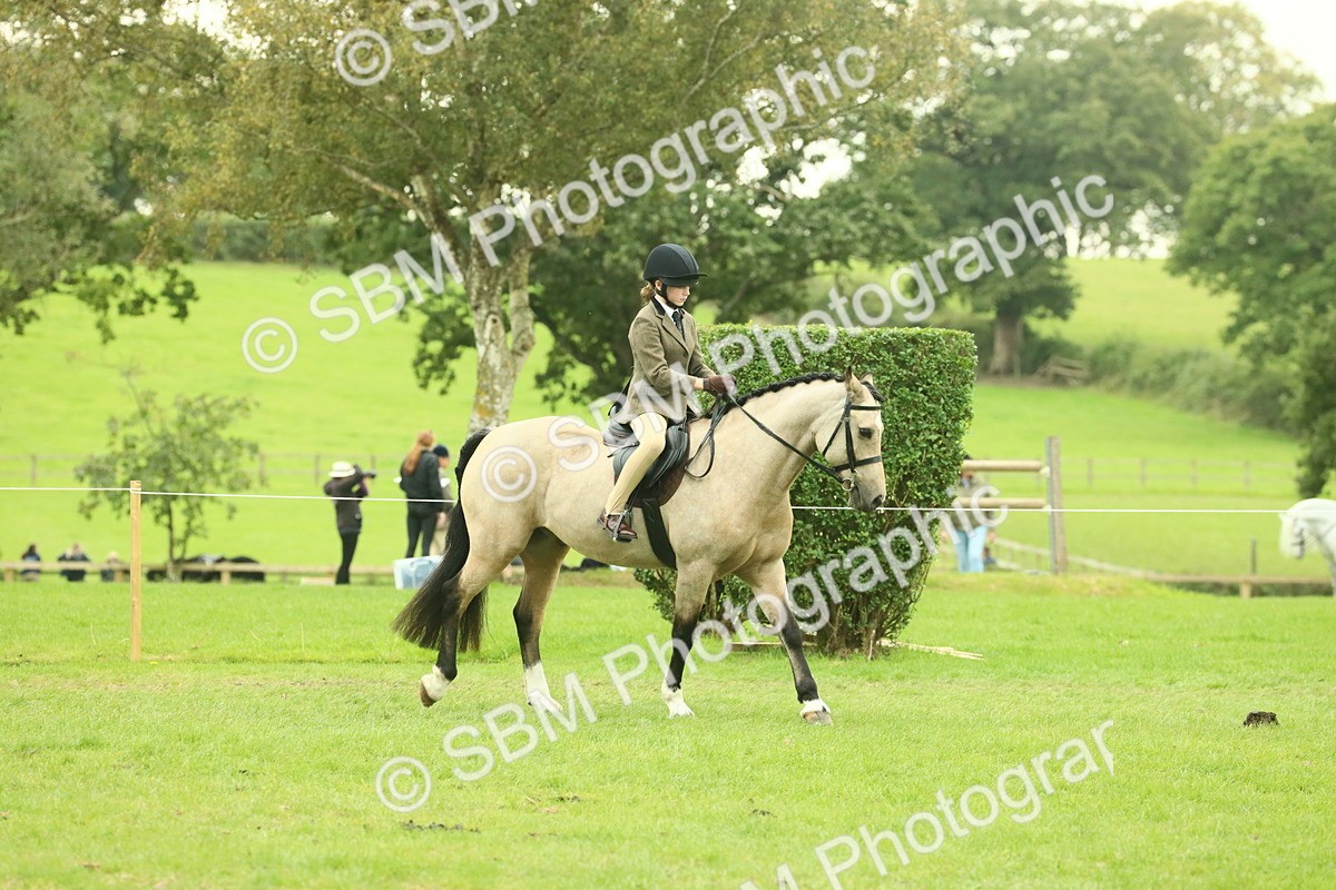 SBM_73909 - S 61 - Show Pony & Show Hunter Pony Ridden
