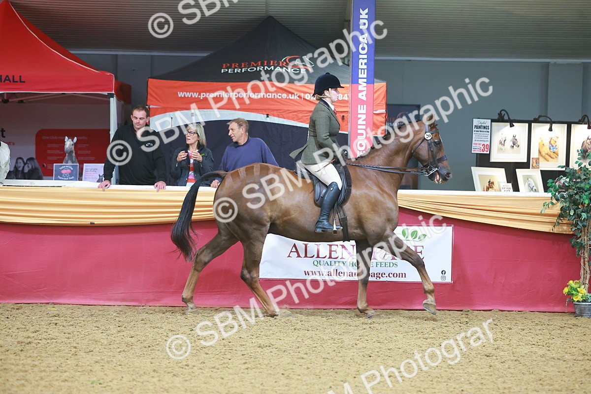 SBM_09633 - Class 102 - HOYS Veteran Qualifier - Ridden Veteran