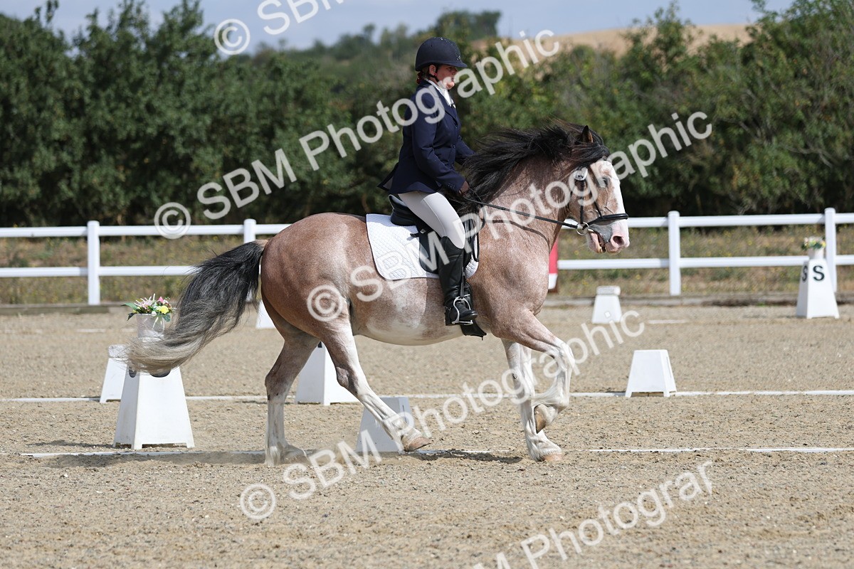 SBM_020938 - Class 21 - M5 Bronze 10.58.12.10
