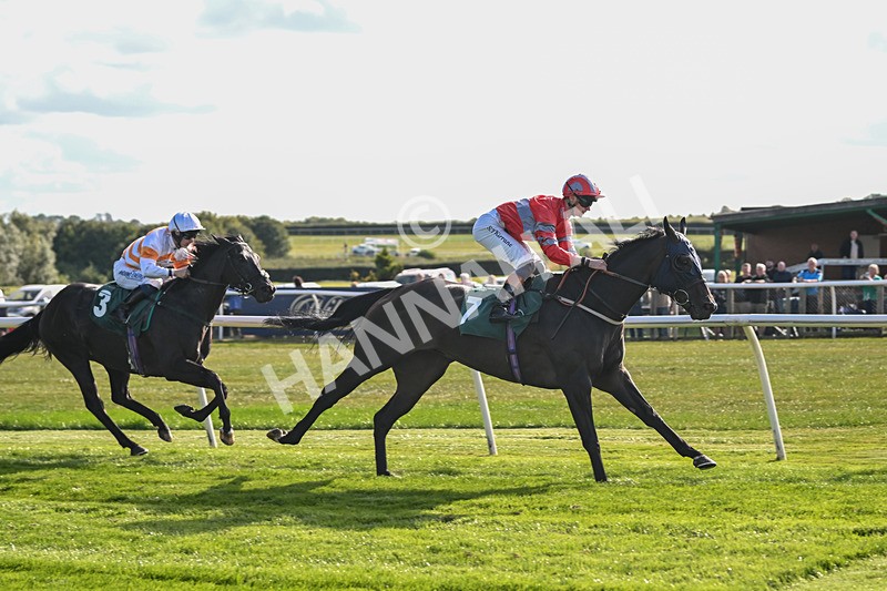 090925-Race 5-Dream Deal-9232 - Race 5