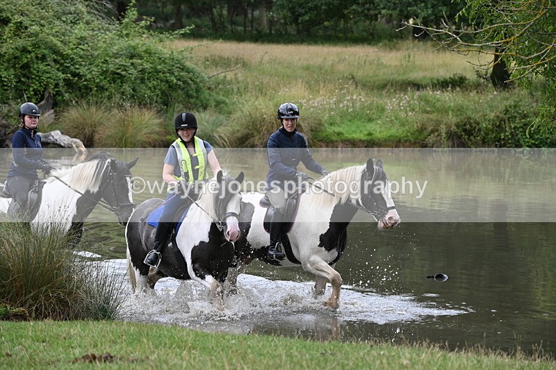 WJ7_3007 - Time at Water 11:37 to 12:13