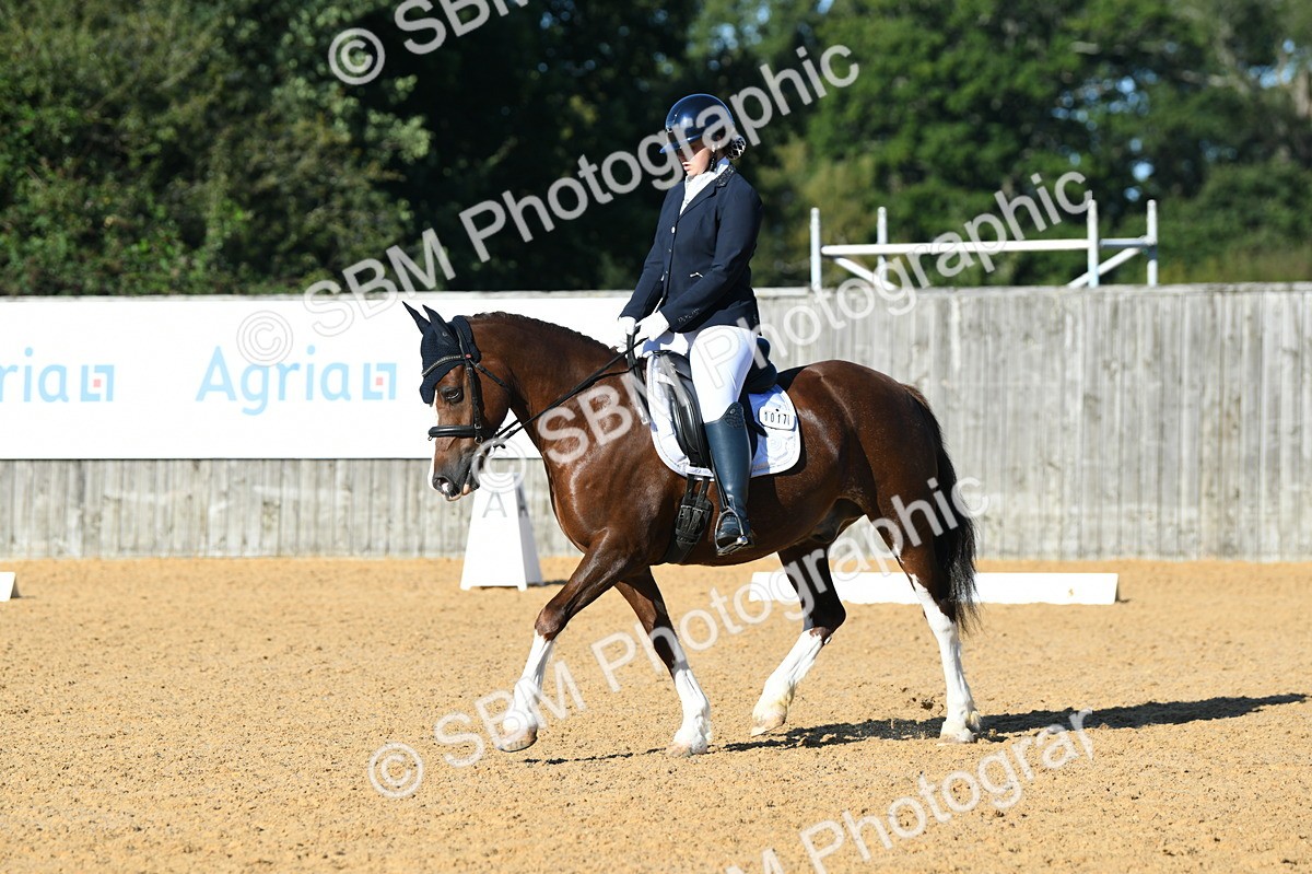 SBM_02187 - D7 Small Tour Championship Prelim 1