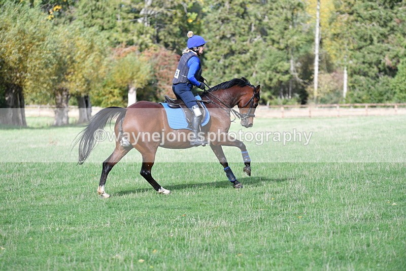 WJ5_7956 - Time 10:31 to 12:01