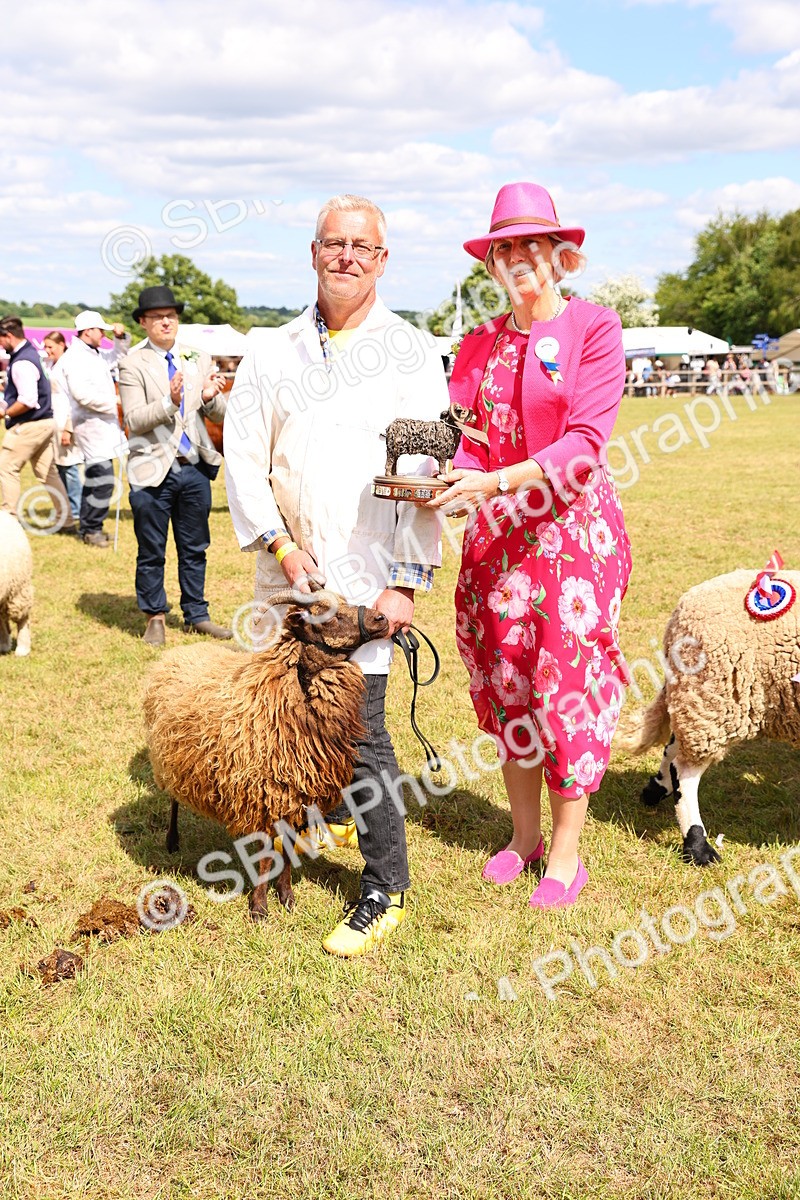 SBM_17000 - Grand Parade