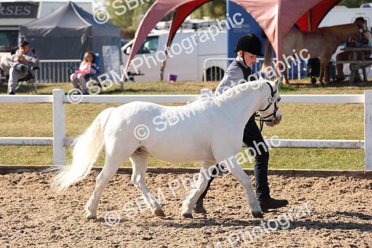 SBM_11729 - Class 204 - Young Handler 11 to 16 years