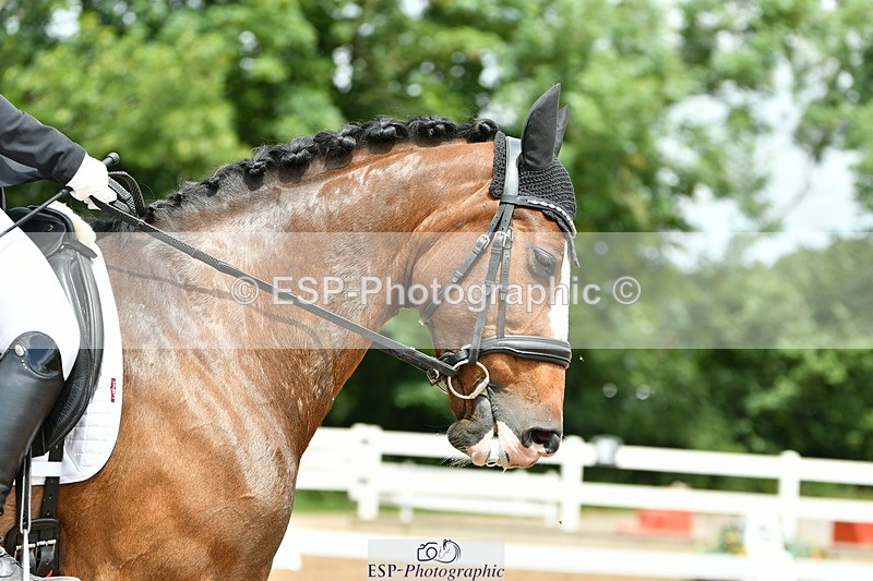 230702A-130913-09435 - Cls 29 Elementary 57