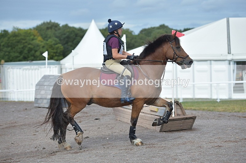 NGP_1161 - XC Time 10:38 to 10:51