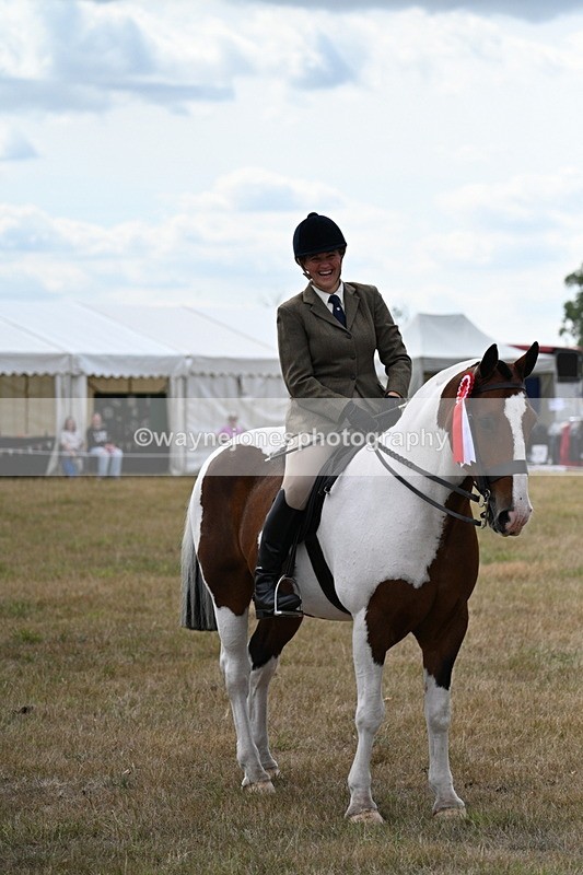 WJ7_5550 - Class 12 Ridden Cob