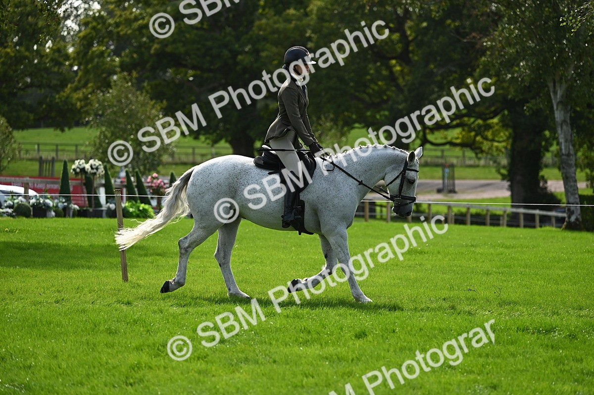 SBM_02618 - S3 - TSR Ridden Pony Showing