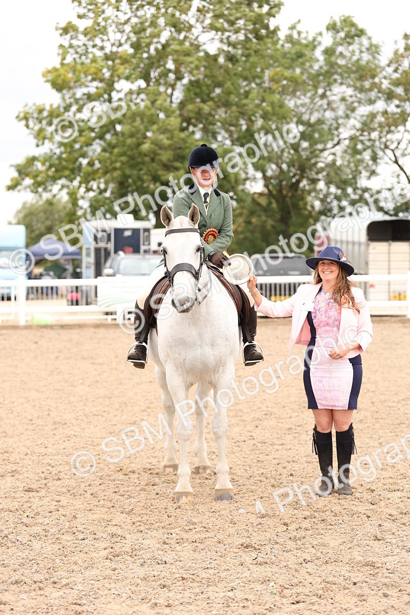 SBM_19597 - Class 215 - Ridden Show cob
